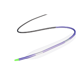 Drug-Eluting Coronary Stent