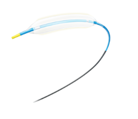 Coronary Bifurcation Stent System