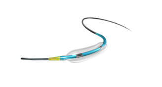 Newcath Neuro Balloon Dilatation Catheter